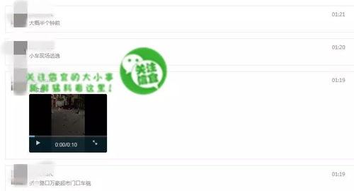 网友爆料类的视频,视频内容深度解析 第3张 网友爆料类的视频,视频内容深度解析 第3张